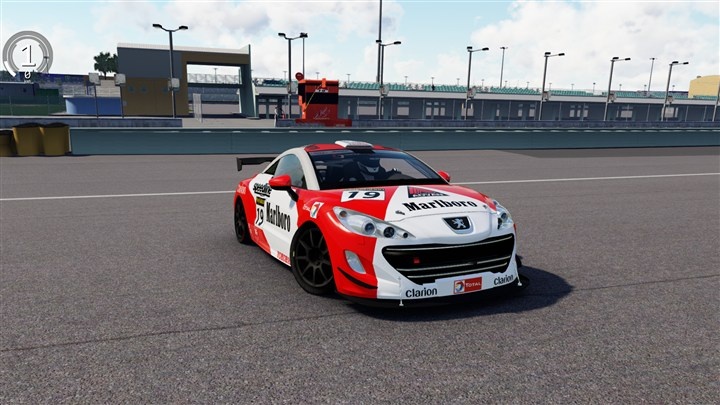 Peugeot 308 RCZ GT4