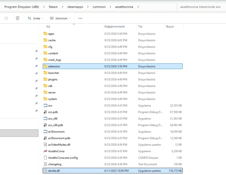 Assetto Corsa Game Main Folder