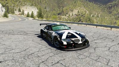 BMW Z4 M Coupe GT3