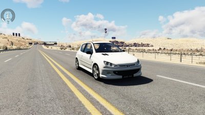 Peugeot 206 RC 2004