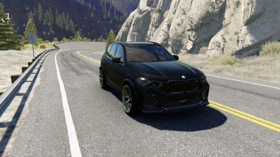 BMW X5M F95