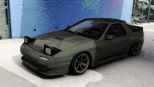 Silver_Moss