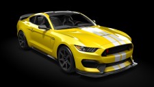 10_triple_yellow_tricoat