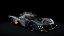 PeugeotSport_94