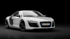 05_ibis_white_t