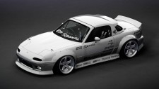 05_Pandem white