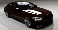 Macadamia Metallic Individual